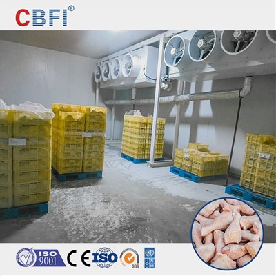 Velika klaonica Hladna hrana hladna hladna soba prilagođena za različitu hladnoću ostavu